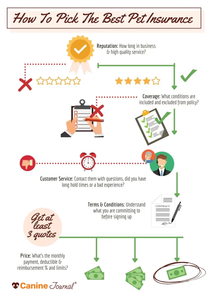 How to pick pet Insurance graphic.