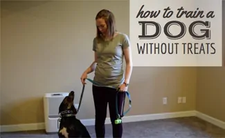 Kimberly with Sally the dog on a leash (caption: How to train a dog without treats)
