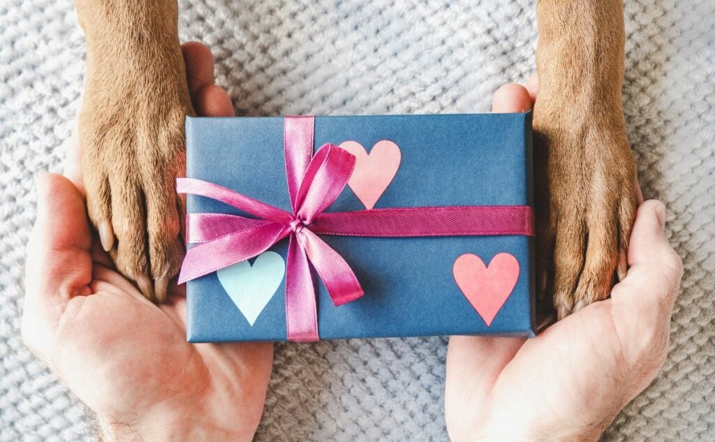 Gift Ideas for Dog Lovers Human hands and dog paws holding a gift.