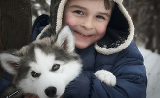 6-month-old Husky puppy with young boy