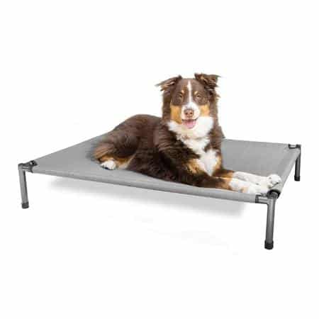 Hyper Pet Elevated Dog Bed