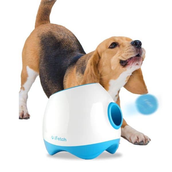 iFetch Interactive Ball Launcher 