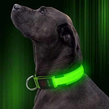 Illumifun LED Dog Collar 