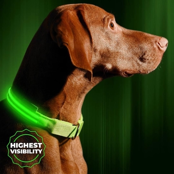Illumiseen Rechargeable collar