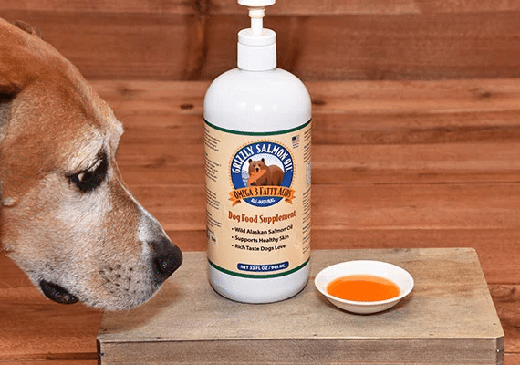 Dog next to Grizzly salmon oil.