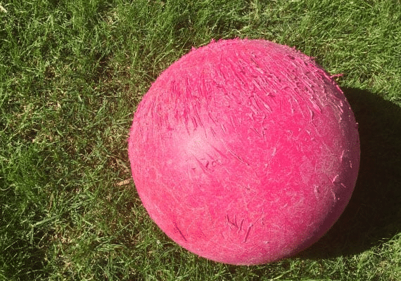 Red herding ball with a lot of chew and claw marks.