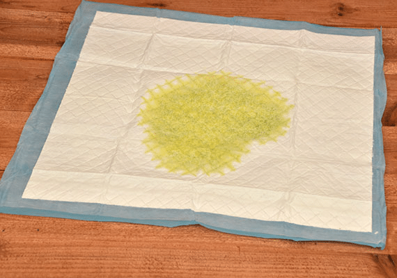 Pee on a pee pad