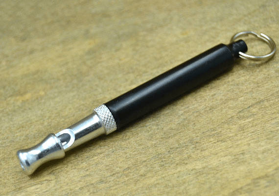 Ultrasonic dog whistle.