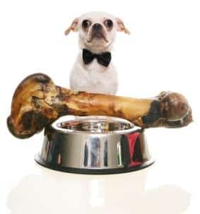 Dog with large dog bone in bowl