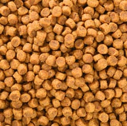 Dog Kibble Dog Kibble