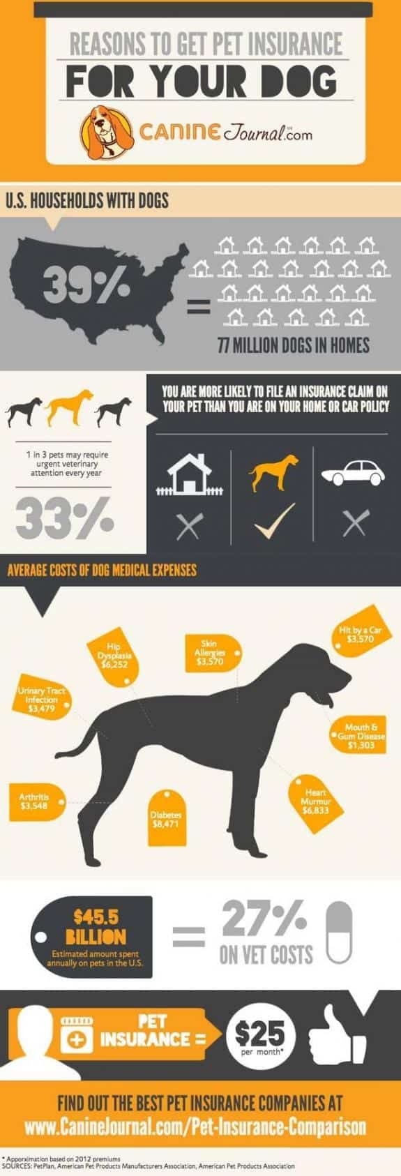 Best Health Insurance For Dogs Best Health Insurance For Dogs