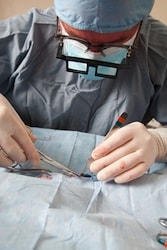 Veterinarian Performing Surgery