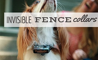 invisible fence collars for sale