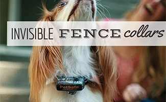 what is the best wireless fence for dogs