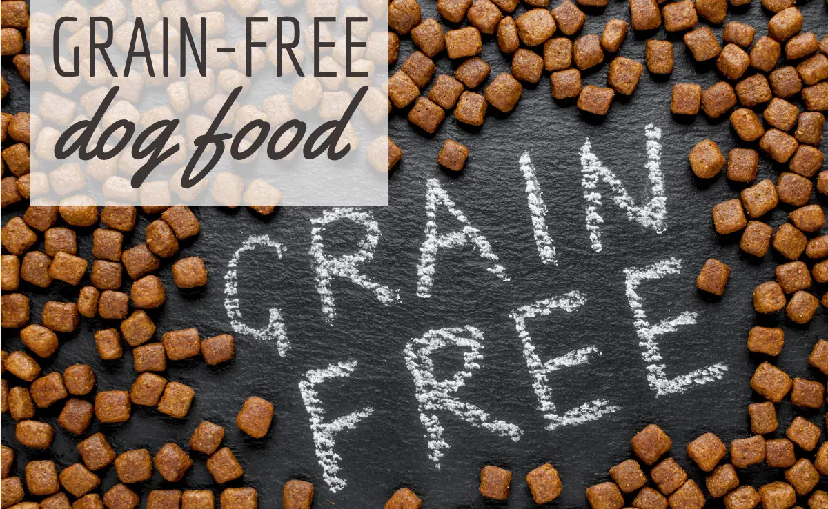 grain free dog food on black background (Caption: Grain Free Dog Food)