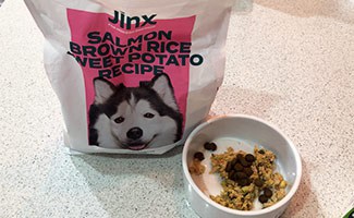 Jinx Salmon Dog Food as a topper 