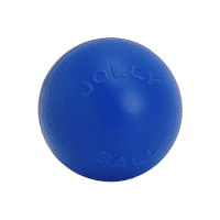 jolly pets push n play ball