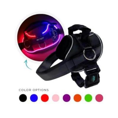 joyride led dog harness