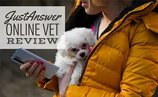 Girl holding small white dog in coat while on the phone (caption: JustAnswer Online Vet Review)