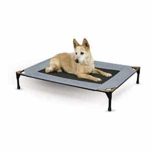 K&H Pet Products Original Elevated Pet Cot 