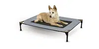 K&H Pet Products Original Elevated Pet Cot 