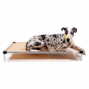 K9 Ballistics Elevated Bed