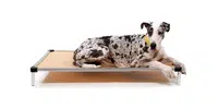 K9 Ballistics Elevated Bed