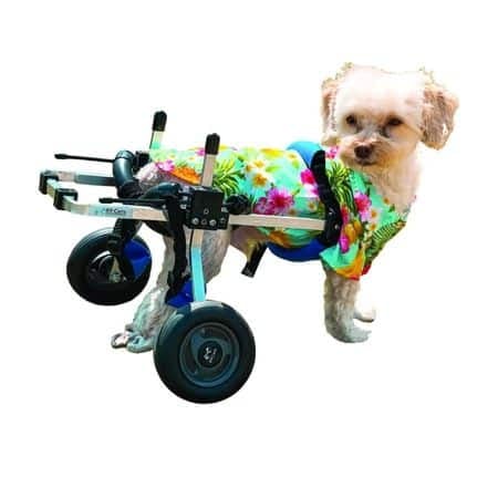 X-Small K9 Cart