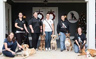 Warrior Journey - K9s for Warriors