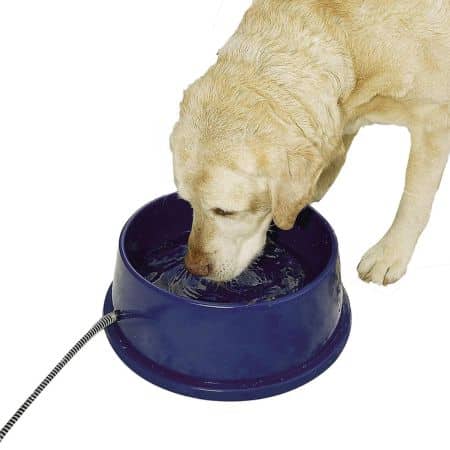 kh heated dog water bowl