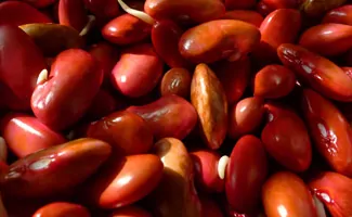 Kidney beans