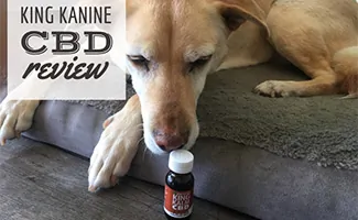 Bella the dog with bottle of CBD oil (caption: King Kanine CBD Review)