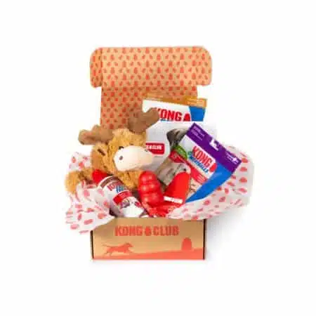 Kong Club box