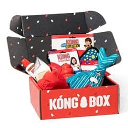 Kong Monthly Box