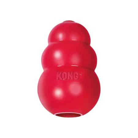 Kong toy.