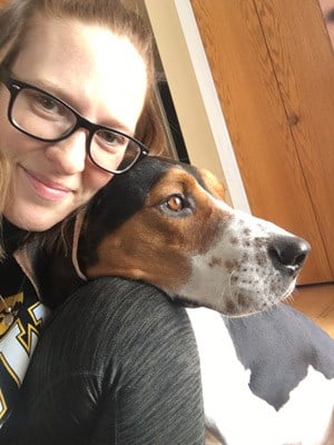 Rehoming an aggressive dog hot sale