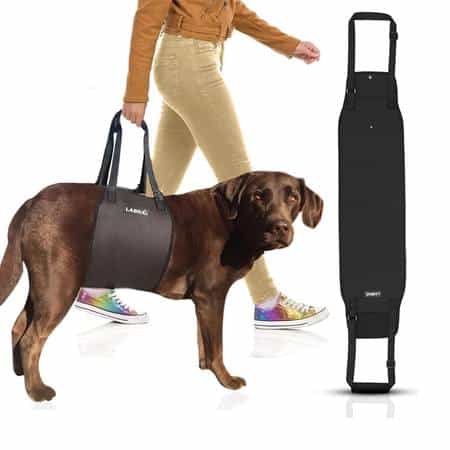 Labra Canine Support Sling