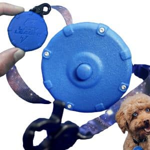 Lazy Leash