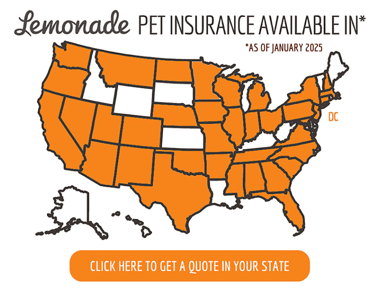 Lemonade pet insurance available map January 2025.