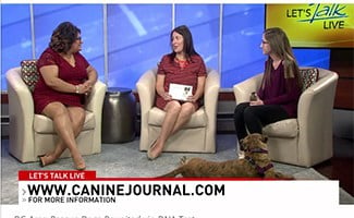 Sadie and DC's Let's Talk Live host Julie Wright chatting with Hadley the rescue pup on TV