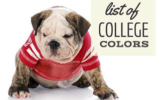 Bulldog in college uniform (caption: List Of College Colors)