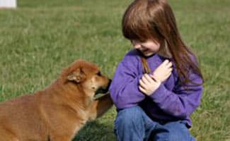 Little girl with dog in grass