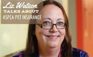 Liz Watson headshot (caption: Liz Watson Talks About ASPCA Pet Insurance)