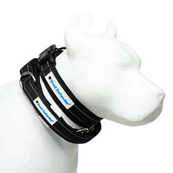 Shed Defender Mag-Snap™ Dog Leash