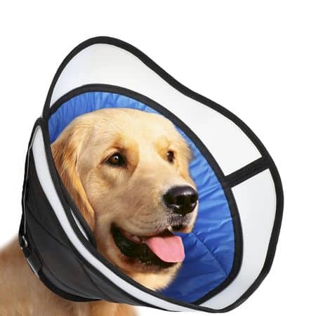 Magnificent Dog Cone Collar 