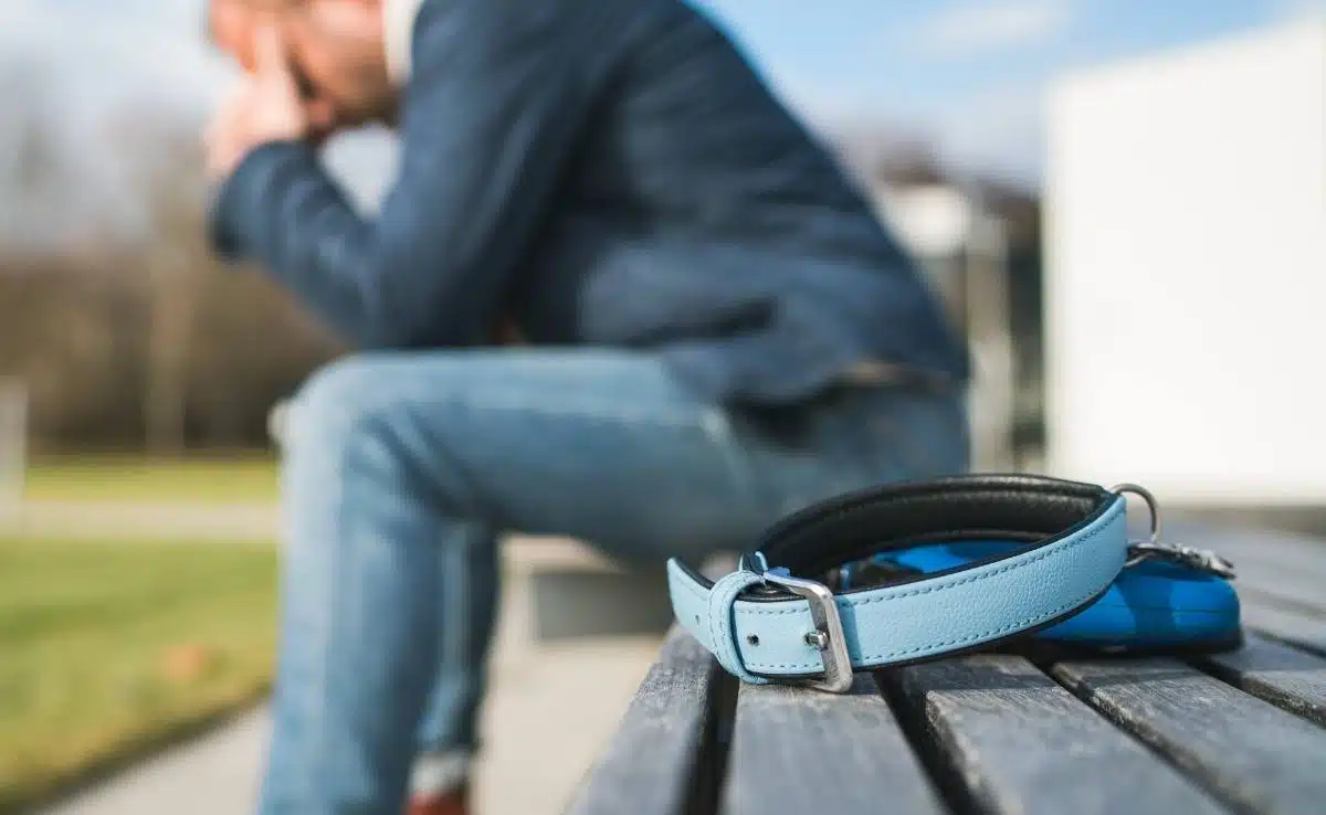 man dog owner is grieving sitting on a bench with the lovely pet collar and deep weeping about animal loss.