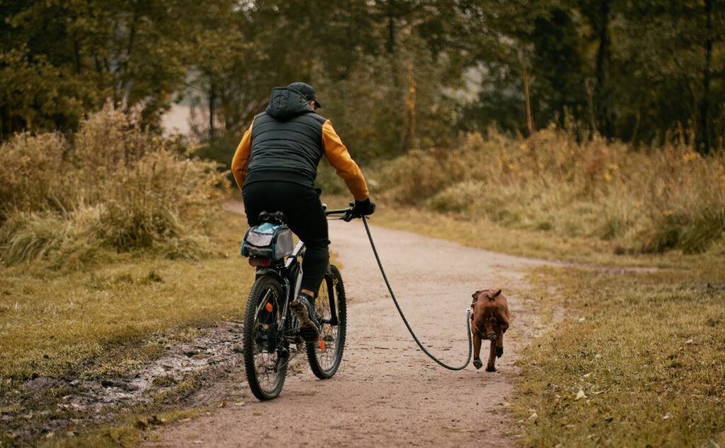 Man on bike with dog on leash next to him.