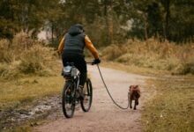 Man on bike with dog on leash next to him.