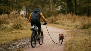 Man on bike with dog on leash next to him.