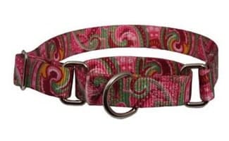 martingale choke collar